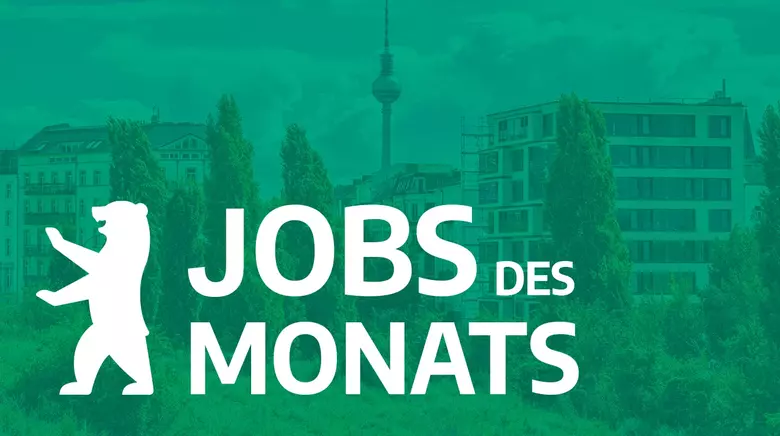 Jobs der Monats