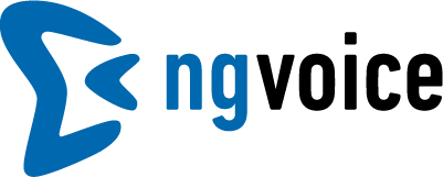ng-voice GmbH